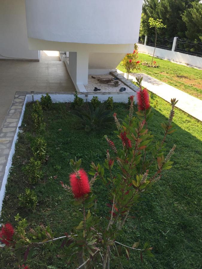 Simplicity At Iris Accommodation Psakoudia Buitenkant foto